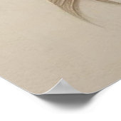 Fleurs beiges modernes 21 Poster (Coin)