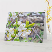 Fleurs blanches minuscules - Carte Anniversaire (Fleur jaune)