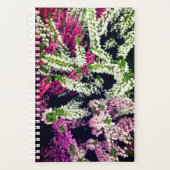 Fleurs blanches, roses et violettes (Devant)