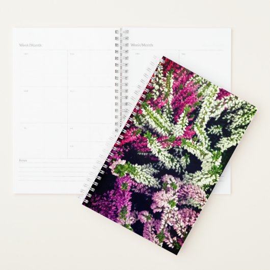 Fleurs blanches, roses et violettes (Devant avec enveloppe)