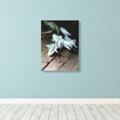 Fleurs blanches sur un banc Impression sur toile (Insitu (Plancher de Bois))