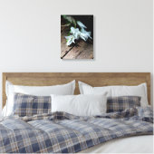 Fleurs blanches sur un banc Impression sur toile (Insitu(Chambre))