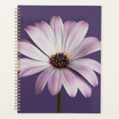 Fleurs | Blancs et marguerites (Devant)
