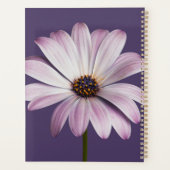 Fleurs | Blancs et marguerites (Dos)