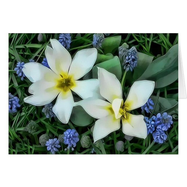 Fleurs - Bleu et Blanc (Devant horizontal)