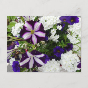 Fleurs bleu violet do-it-yourself carte postale