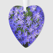 Fleurs bleues à la marguerite Nature Photographie (devant)