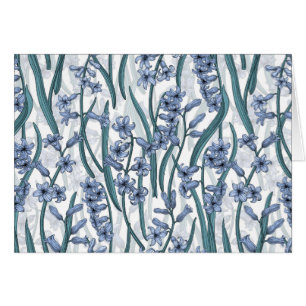 Fleurs Blue Hyacinth sur blanc