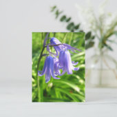 Fleurs Bluebell - Carte postale (Debout devant)