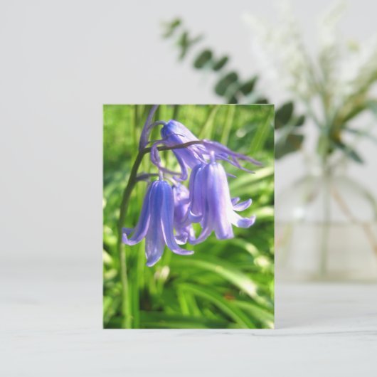 Fleurs Bluebell - Carte postale (Debout devant)