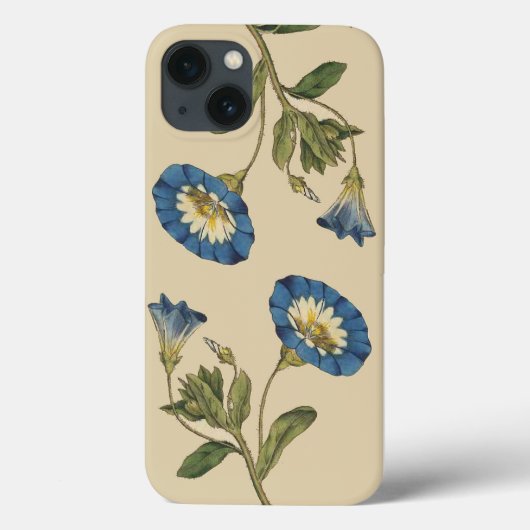 Fleurs botaniques iPhone 6 Coque (Verso)