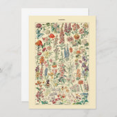 Fleurs Botanisch natuurkweekdiagram (Voorkant / Achterkant)