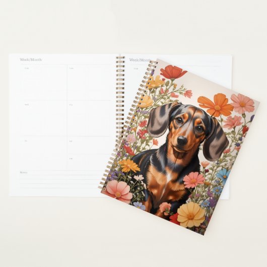 Fleurs Brown De Dachshund Et Cosmos (Devant avec enveloppe)