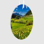 Fleurs | Canton des Grisons de Dandelion, Suisse (devant)