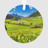 Fleurs | Canton des Grisons de Dandelion, Suisse (dos)