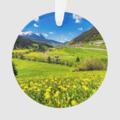 Fleurs | Canton des Grisons de Dandelion, Suisse (devant)