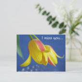 Fleurs - carte postale (Debout devant)