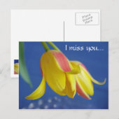 Fleurs - carte postale (Devant / Derrière)