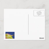 Fleurs - carte postale (Dos)