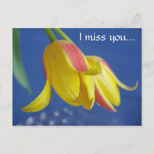 Fleurs - carte postale