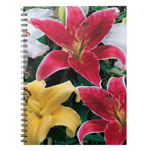Fleurs colorées Carnet spiral (Devant)