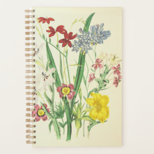 Fleurs colorées et Plantes verts