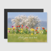 Fleurs colorées Tulipes + Daffodiles Carte magnéti (Devant / Derrière)