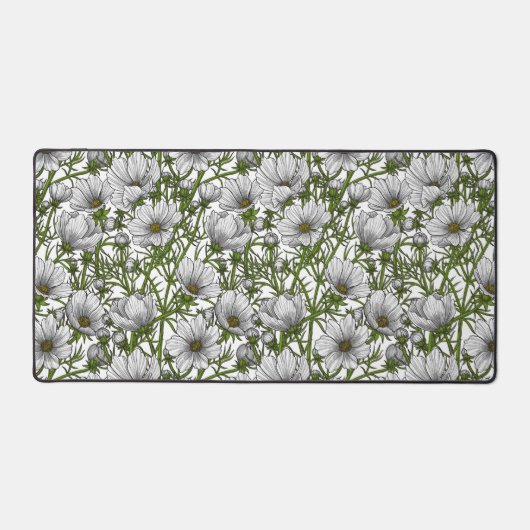 Fleurs cosmos blanches (Recto)