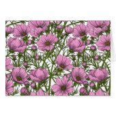 Fleurs Cosmos roses (Devant horizontal)