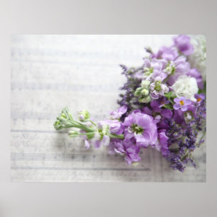 fleurs couleur lavande sur affiche de musique anci