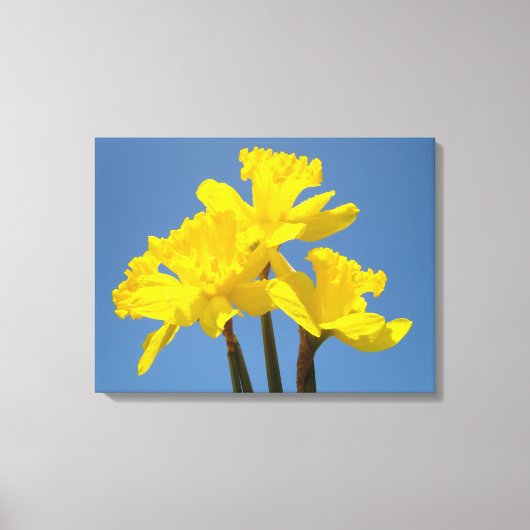 Fleurs Daddofil Impressions sur toile Ciel Bleu (Recto)