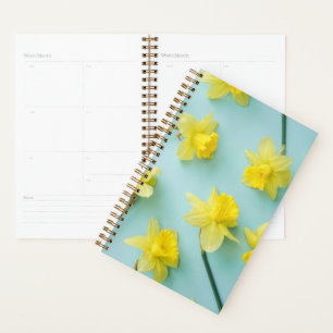 Fleurs   Daffodiques jaunes