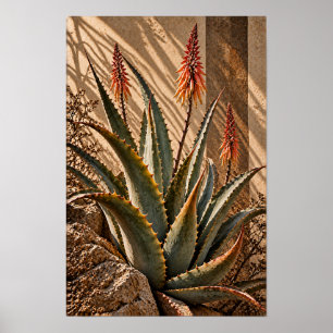 Fleurs d'Aloe Ensoleillées Art Mural Botanique du