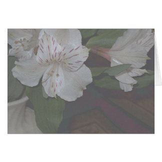 Fleurs d'Alstroemeria