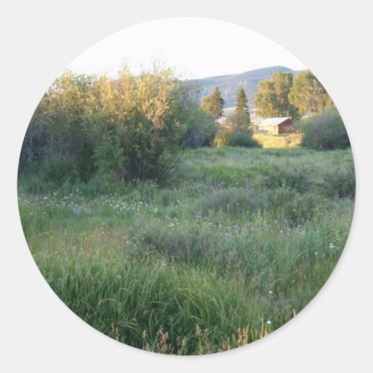 fleurs dans Colorado autocollant (Devant)