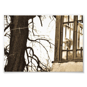 Fleurs dans la vieille copie de photo de Chambre