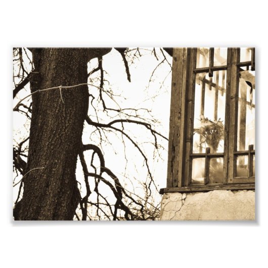 Fleurs dans l'ancienne maison Impression photo (Devant)