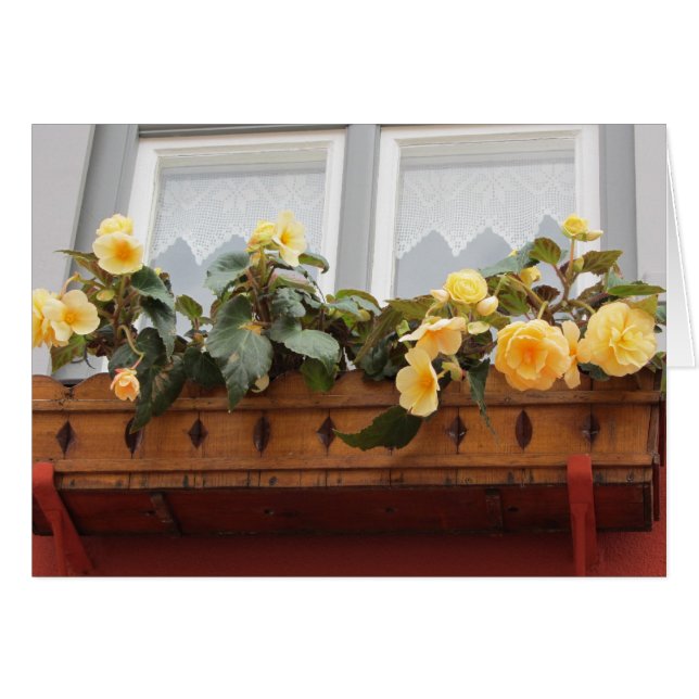 Fleurs dans une jardinière (Devant Horizontal)