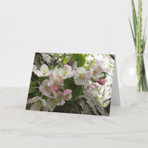 Fleurs d'Apple sauvage - carte de voeux