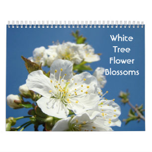 Fleurs d'Arbre Blanc Calendriers de Fleurs Photogr