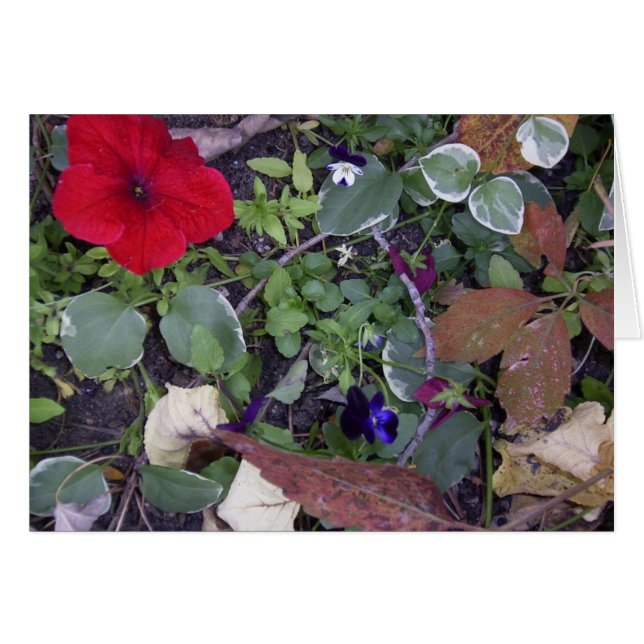 Fleurs d'automne (Devant horizontal)