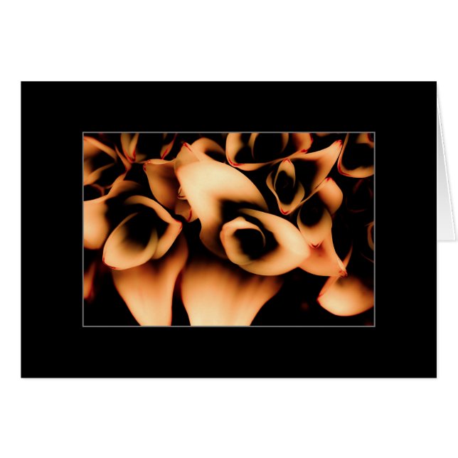Fleurs d'automne (Devant horizontal)