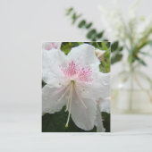FLEURS D'AZALÉE Azalées Blanches Humides Cartes Ca (Debout devant)