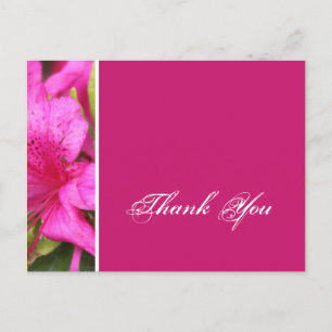 fleurs d'azalée rose merci cartes postales
