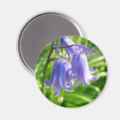Fleurs de Bluebell - Magnet (Recto/Verso)