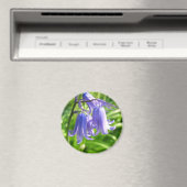 Fleurs de Bluebell - Magnet (In Situ (Lave-vaisselle))