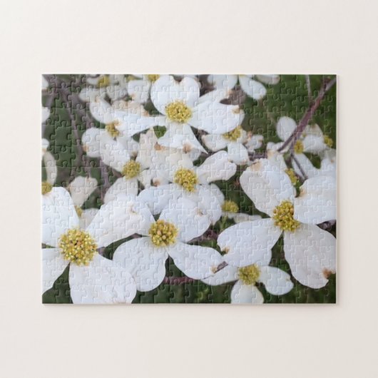 Fleurs de bois de chien blanc Puzzles photo (Horizontal)