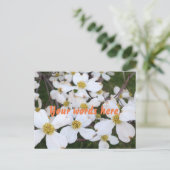 Fleurs de bois de chien blanc Vos mots Cartes post (Debout devant)