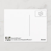 Fleurs de bois de chien blanc Vos mots Cartes post (Dos)