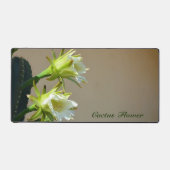 Fleurs de cactus blanc Floral Botanical Photograph (Recto)